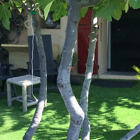 Oda ve Kahvaltı Les Terrasses Sur 4*