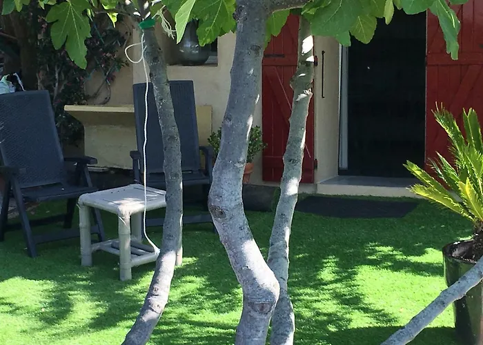 Bed & Breakfast Les Terrasses Sur 4*