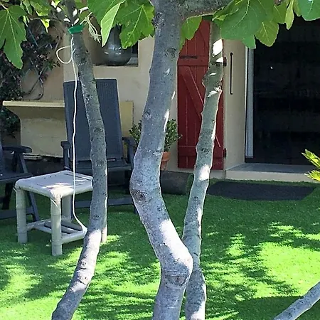 לינה וארוחת בוקר Les Terrasses Sur 4*