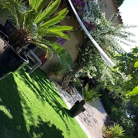 Les Terrasses Sur Bed & Breakfast