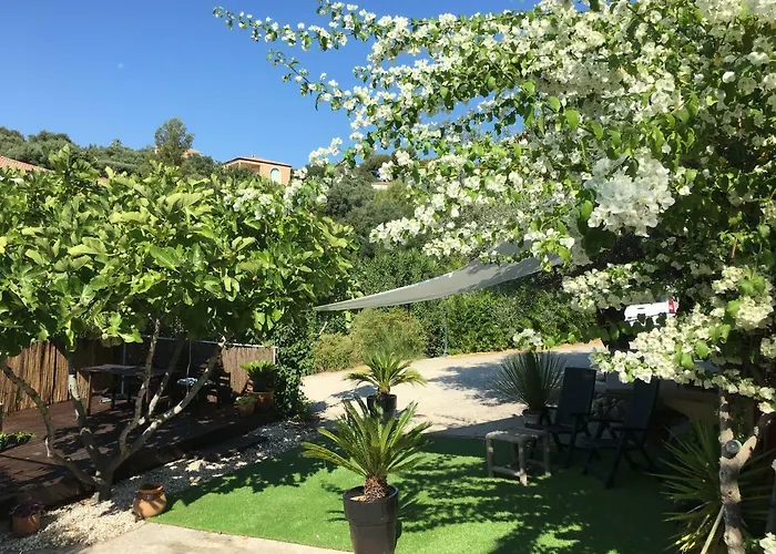 Les Terrasses Sur Bed & Breakfast Ollioules